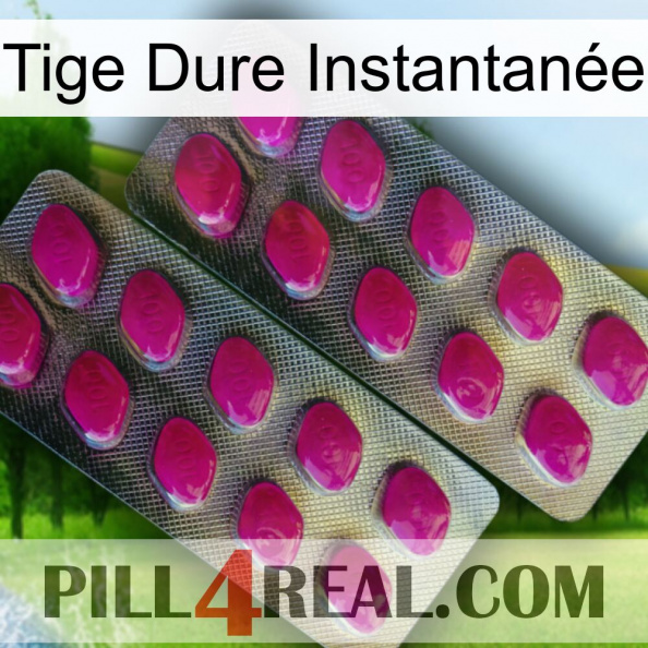 Tige Dure Instantanée 10